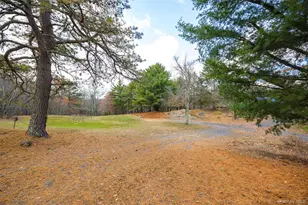 100 Knob Hill Rd, Stanford, NY 12581 - Photo 30