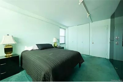 61-20 Grand Central Parkway #C 306, Forest Hills, NY 11375 - Photo 18