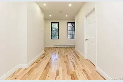 225 Rockaway Avenue, Brooklyn, NY 11233 - Photo 12
