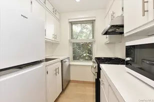 195 S Middle Neck Rd, Great Neck, NY 11021 - Photo 10