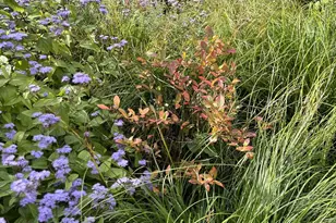 11 Sutton Pl, Ossining, NY 10562 - Photo 50