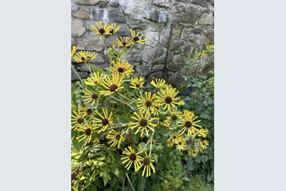 11 Sutton Place, Ossining, NY 10562 - Photo 46