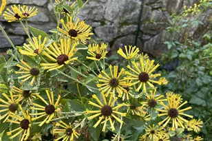 11 Sutton Pl, Ossining, NY 10562 - Photo 46