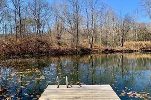 13 Grooville Rd, Livingston Manor, NY 12758 - Photo 30