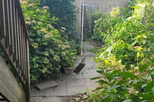 4425 Richardson Ave, Bronx, NY 10470 - Photo 20