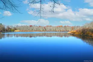 12 Darling Ave, Smithtown, NY 11787 - Photo 38