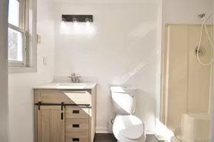 32 Meadow St, Livingston Manor, NY 12758 - Photo 18