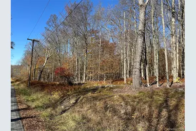 24 Mud Pond Road, Livingston Manor, NY 12758 - Photo 18