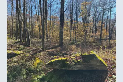 24 Mud Pond Road, Livingston Manor, NY 12758 - Photo 6