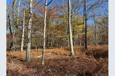 24 Mud Pond Road, Livingston Manor, NY 12758 - Photo 16