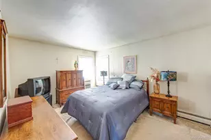 23 Wyandotte St, Selden, NY 11784 - Photo 12