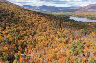 68 Cooper Hollow Rd, Bearsville, NY 12409 - Photo 34