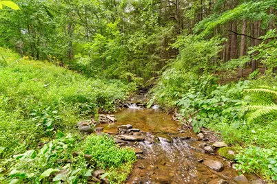 39 Deep Hollow Hill Road, Narrowsburg, NY 12764 - Photo 44