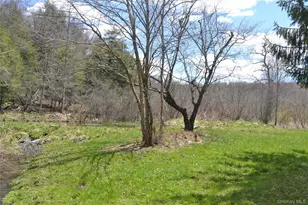 144 Bonnie Brook Rd, Roscoe, NY 12776 - Photo 26
