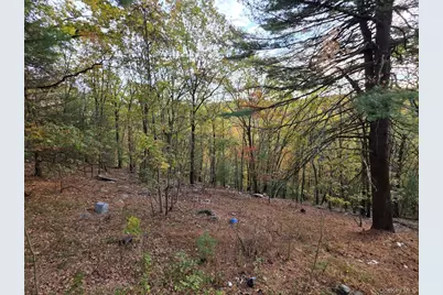 43 Hilltop Trail, Wurtsboro, NY 12790 - Photo 4