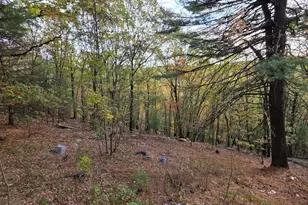 43 Hilltop Trail, Wurtsboro, NY 12790 - Photo 4