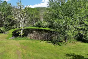 50 Hahn Rd, Callicoon Center, NY 12724 - Photo 18