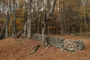 7775 State Rte 55, Neversink, NY 12765 - Photo 36