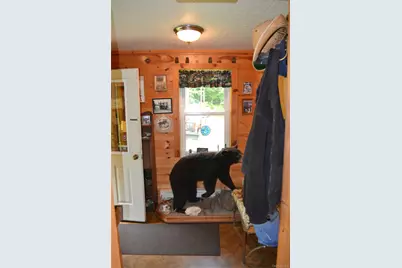 365 Via Appian Way, Roscoe, NY 12776 - Photo 14