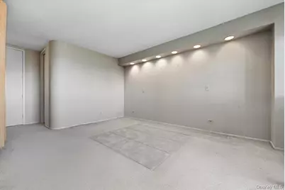 27110 Grand Central Parkway #27W, Floral Park, NY 11005 - Photo 20