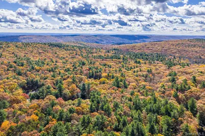 44 Florio Earl Road, Wurtsboro, NY 12790 - Photo 38