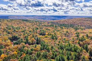 44 Florio Earl Rd, Wurtsboro, NY 12790 - Photo 38