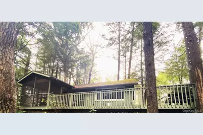 151 Lake Lane, Millerton, NY 12546 - Photo 2