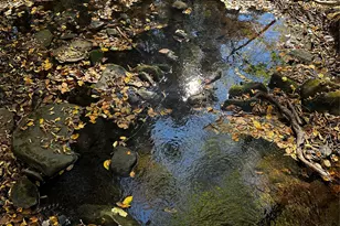 90 Hillside Rd, Barryville, NY 12719 - Photo 4