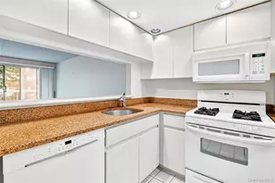 10 Stewart Pl, White Plains, NY 10603 - Photo 16