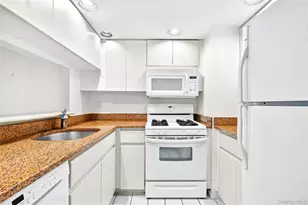 10 Stewart Pl, White Plains, NY 10603 - Photo 12