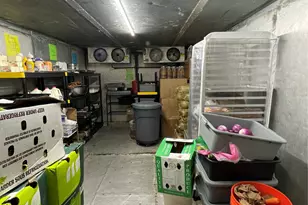 1130 Zerega Ave, Bronx, NY 10462 - Photo 12