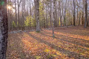 137 Highview Terrace, Bloomingburg, NY 12721 - Photo 46