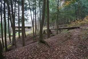 149 Craigie Clair, Roscoe, NY 12776 - Photo 32