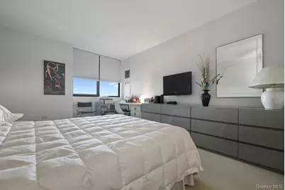 27010 Grand Central Parkway #17K, Floral Park, NY 11005 - Photo 20