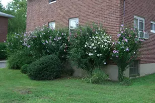 48 Dehaven, Yonkers, NY 10703 - Photo 12