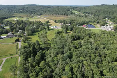 *00 Rt. 52 and Mineral Springs Road, White Sulphur Springs, NY 12787 - Photo 10