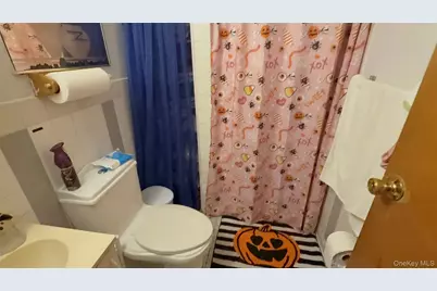 34 Carleton Street, Westbury, NY 11590 - Photo 14