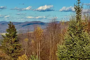 670 Mary's Way, Walton, NY 13856 - Photo 46