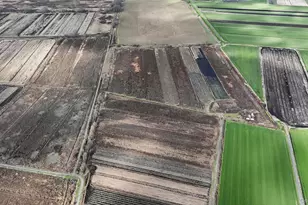 60 Bierstine Ln, Pine Island, NY 10969 - Photo 8