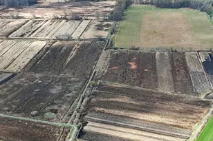 60 Bierstine Ln, Pine Island, NY 10969 - Photo 28