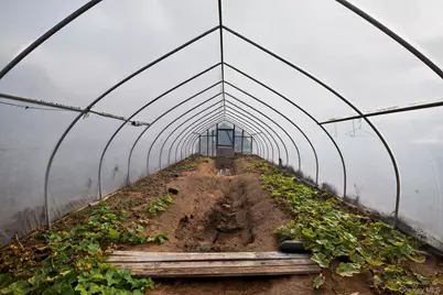 60 Bierstine Lane, Pine Island, NY 10969 - Photo 46