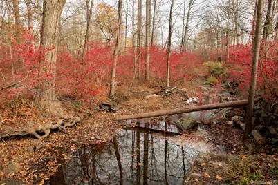 144 Route 292, Patterson, NY 12563 - Photo 24