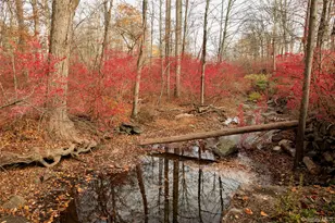 144 Route 292, Patterson, NY 12563 - Photo 24