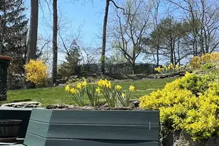 56 Belleau Ave, New Rochelle, NY 10804 - Photo 38