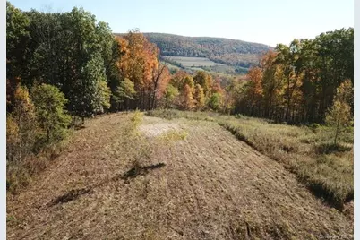 0 Mill Road, Millerton, NY 12546 - Photo 1