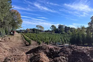 17525 County Road 48, Cutchogue, NY 11935 - Photo 8