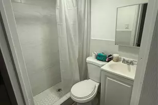 56 Seville St, Elmont, NY 11003 - Photo 20