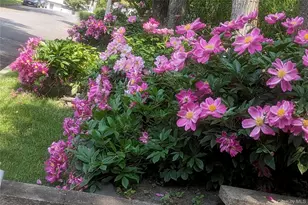 8 Margaret Ave, Nesconset, NY 11767 - Photo 40