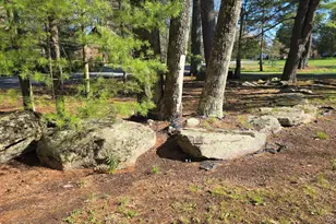 14 Lena Rd, Monticello, NY 12777 - Photo 8