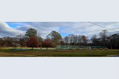 14 Lena Road, Monticello, NY 12777 - Photo 10